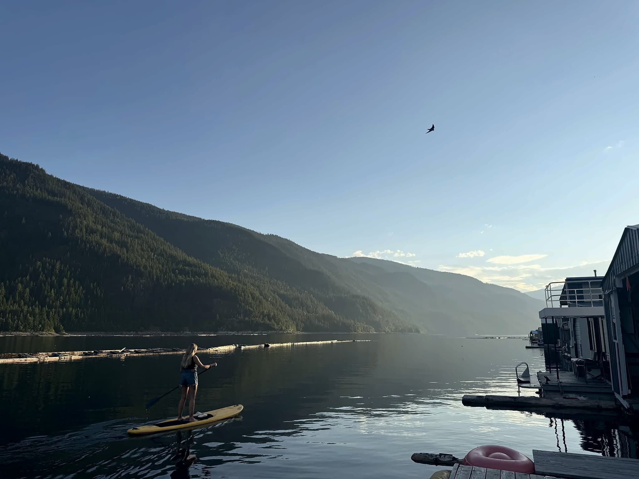 A paddleboarder out on flat water at first light, with the mountains dark on the far shore.